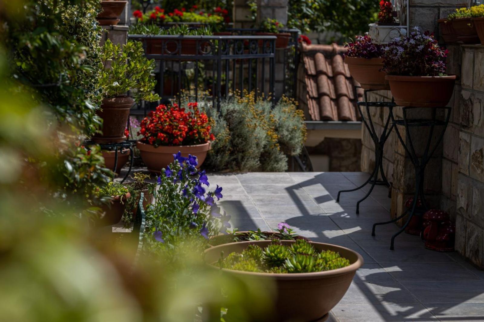 Apartments Horizont Budva Exterior photo